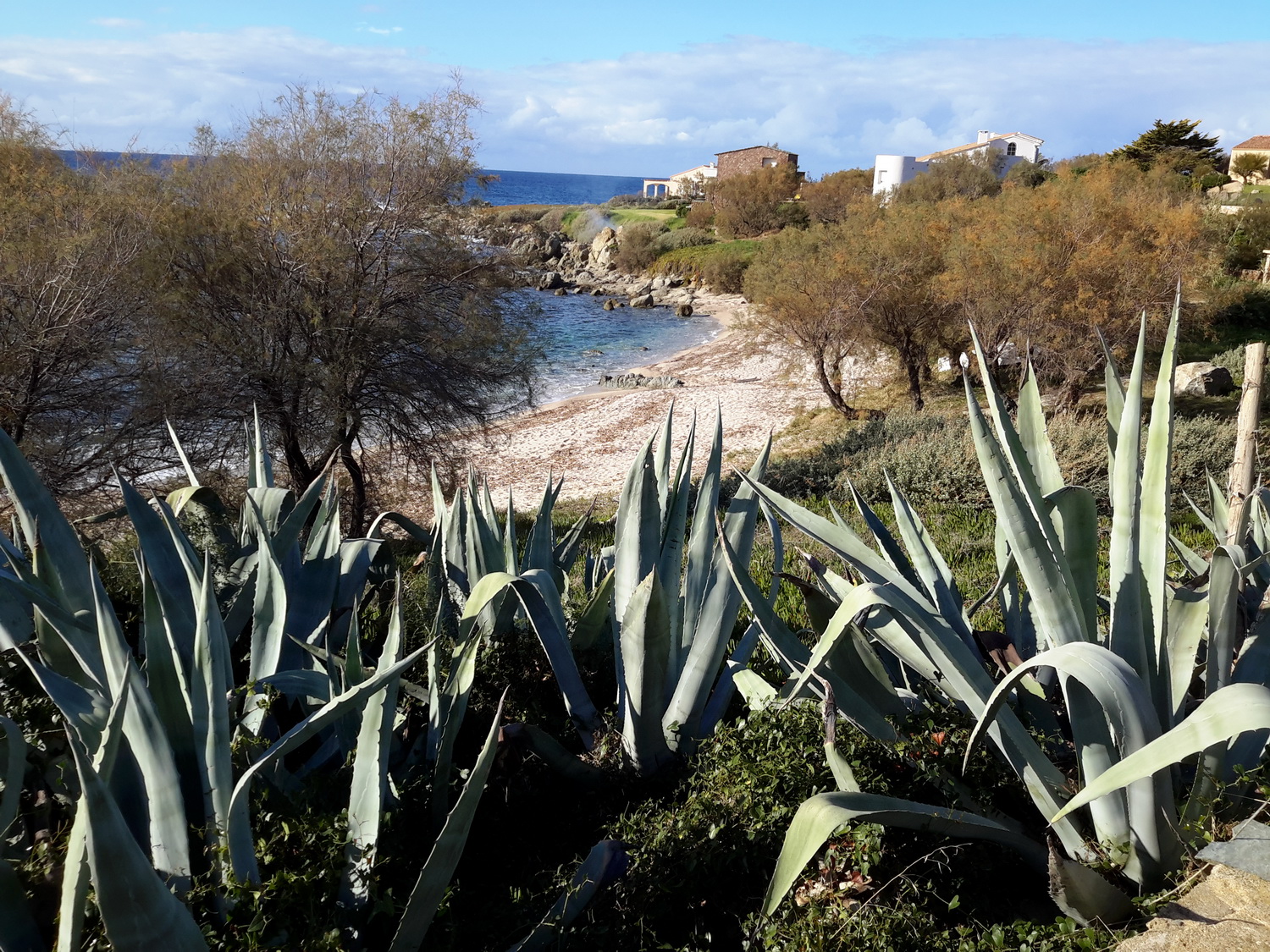 Littoral de la Marine de Davia