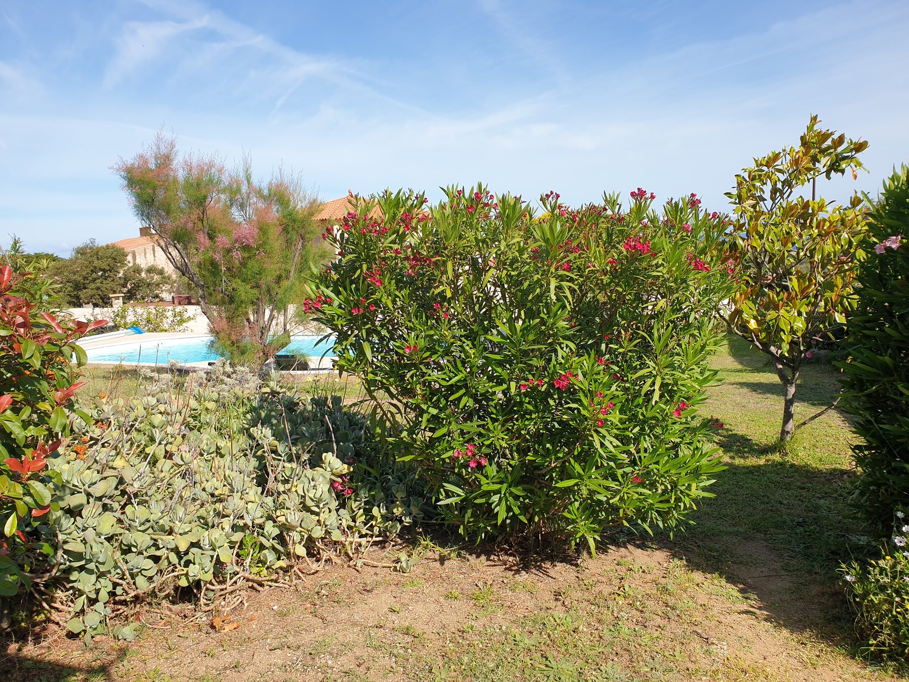 Jardin de la propriété