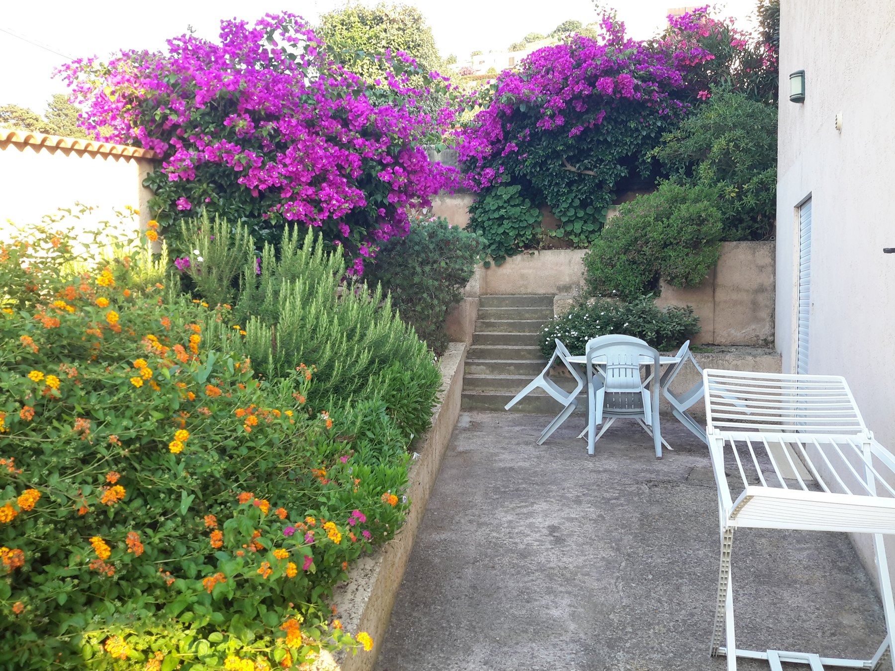 Terrasse fleurie de NewJade